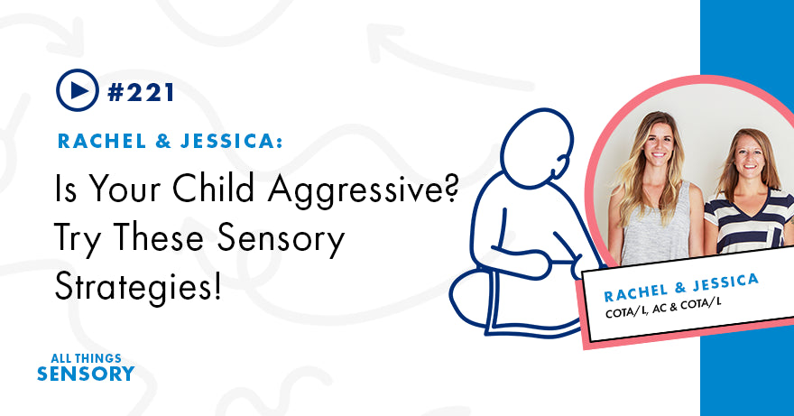#221 - Is Your Child Aggressive? Try These Sensory Strategies!
