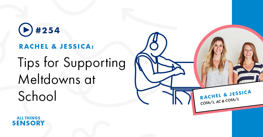 #254 - Tips for Supporting Meltdowns at School