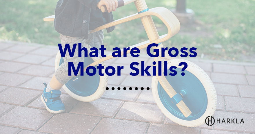 What are gross motor skills?