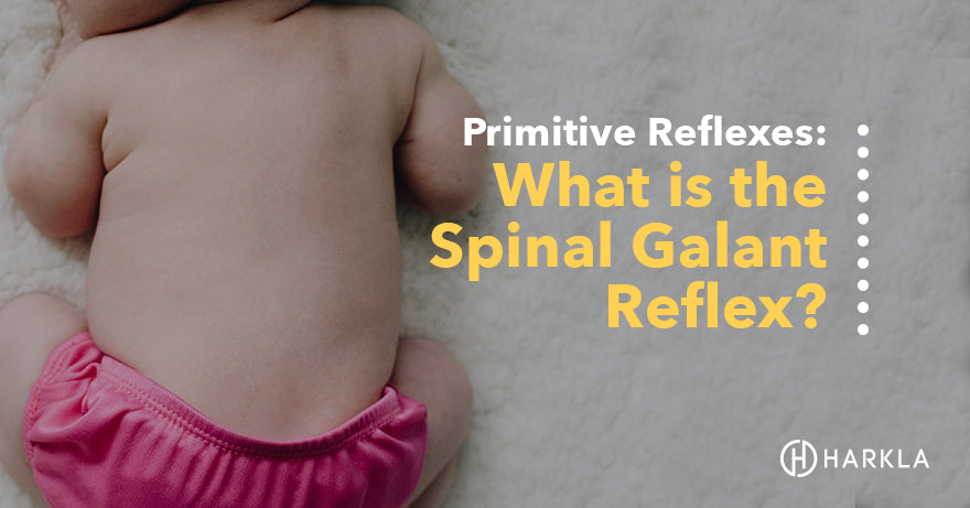 What is the Spinal Galant Reflex?