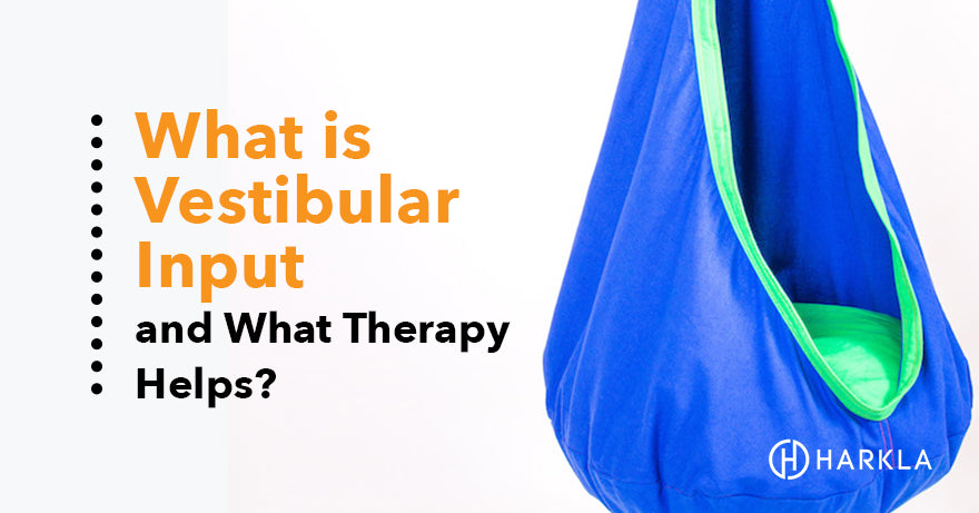 vestibular input blog post