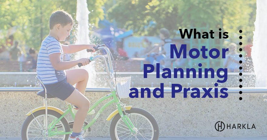 Motor Planning and Praxis blog post
