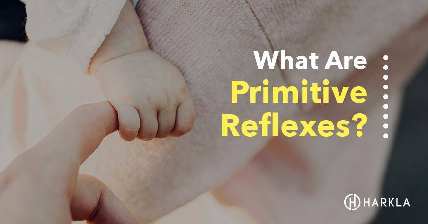 What Are Primitive Relfexes?