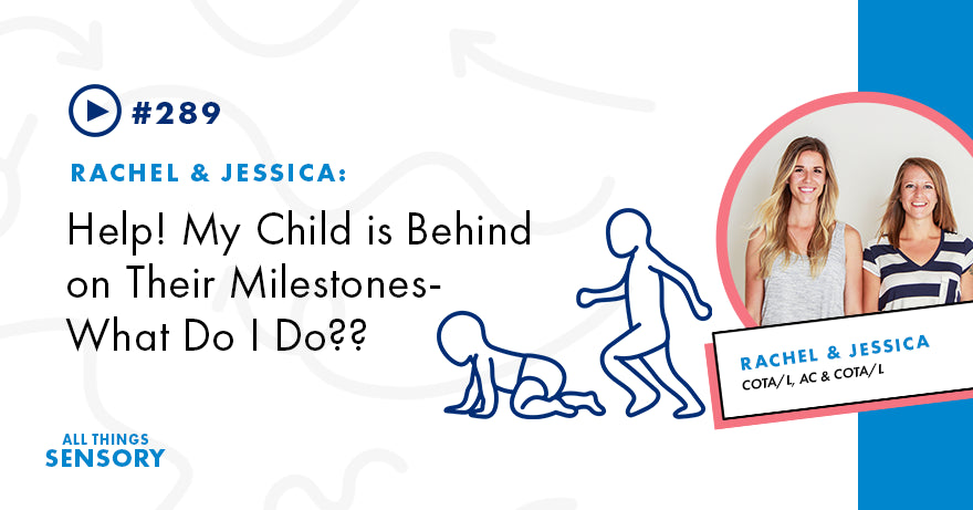 #289 - Help! My Child is Behind on Their Milestones- What Do I Do??