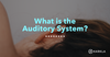 What is the auditory system?