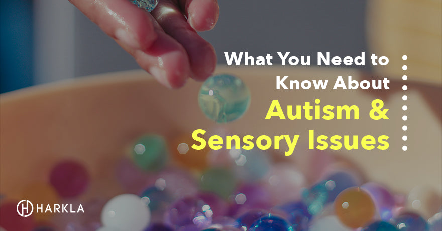 autism sensory issues blog post