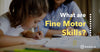What are fine motor skills?
