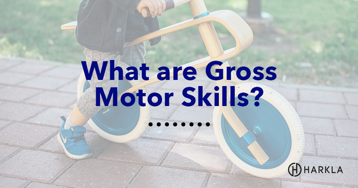 What are gross motor skills?