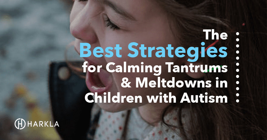 Calming Tantrums and Meltdowns in Autism blog post