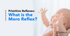 What is the Moro Reflex?