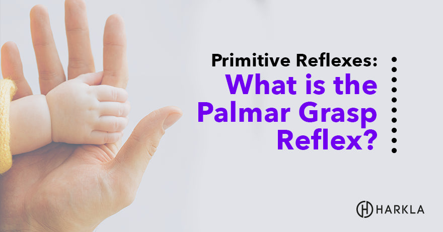 What is the Palmar Grasp Reflex?