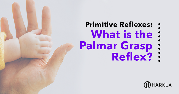 What is the Palmar Grasp Reflex?