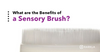 Sensory Brush Benefits blog post