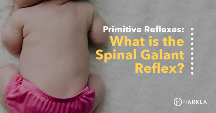 What is the Spinal Galant Reflex?