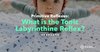 What is the Tonic Labyrinthine Reflex?