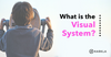 What is the visual system?