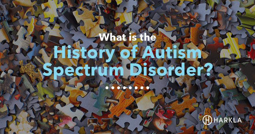 history of autism blog post