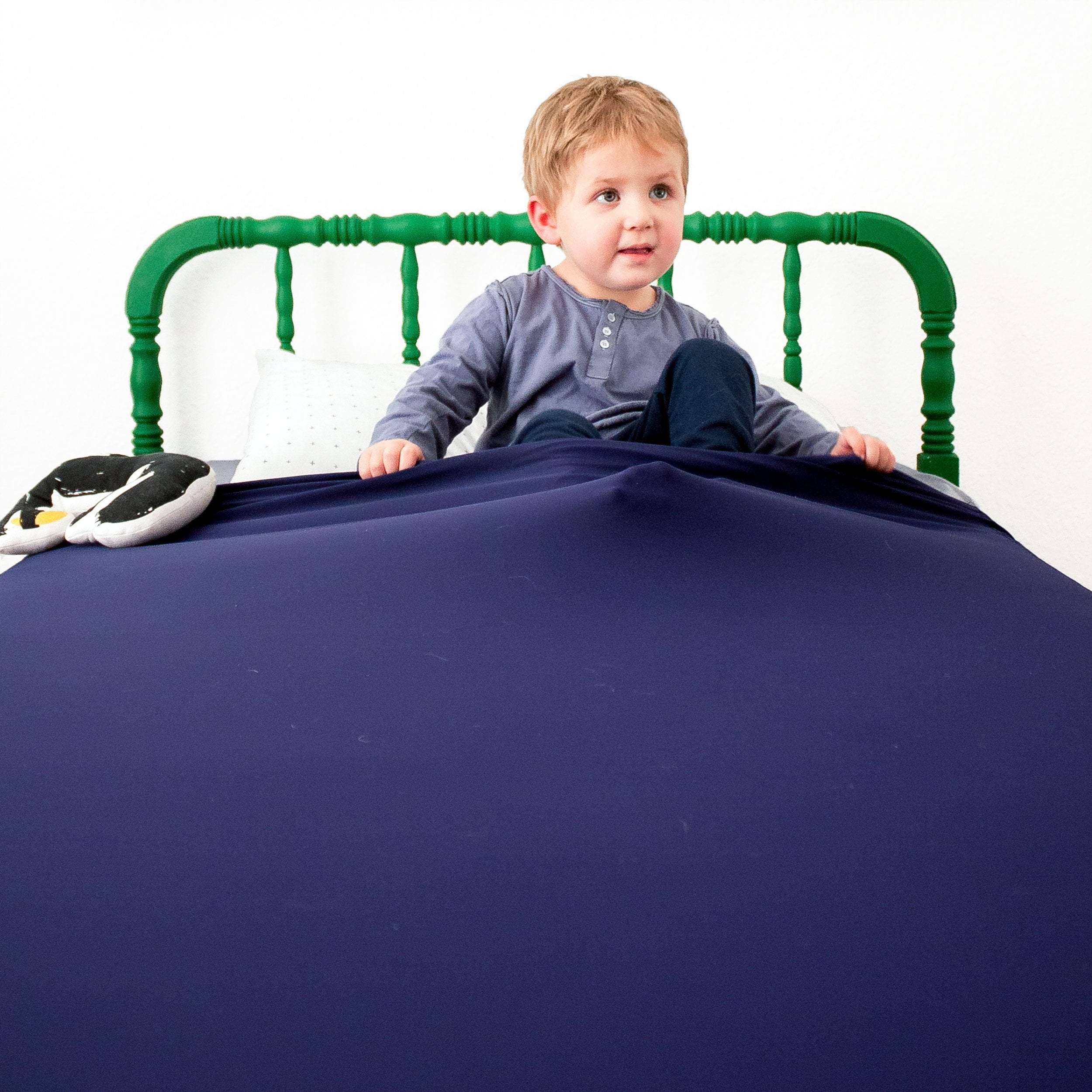 Sensory scout compression online blanket